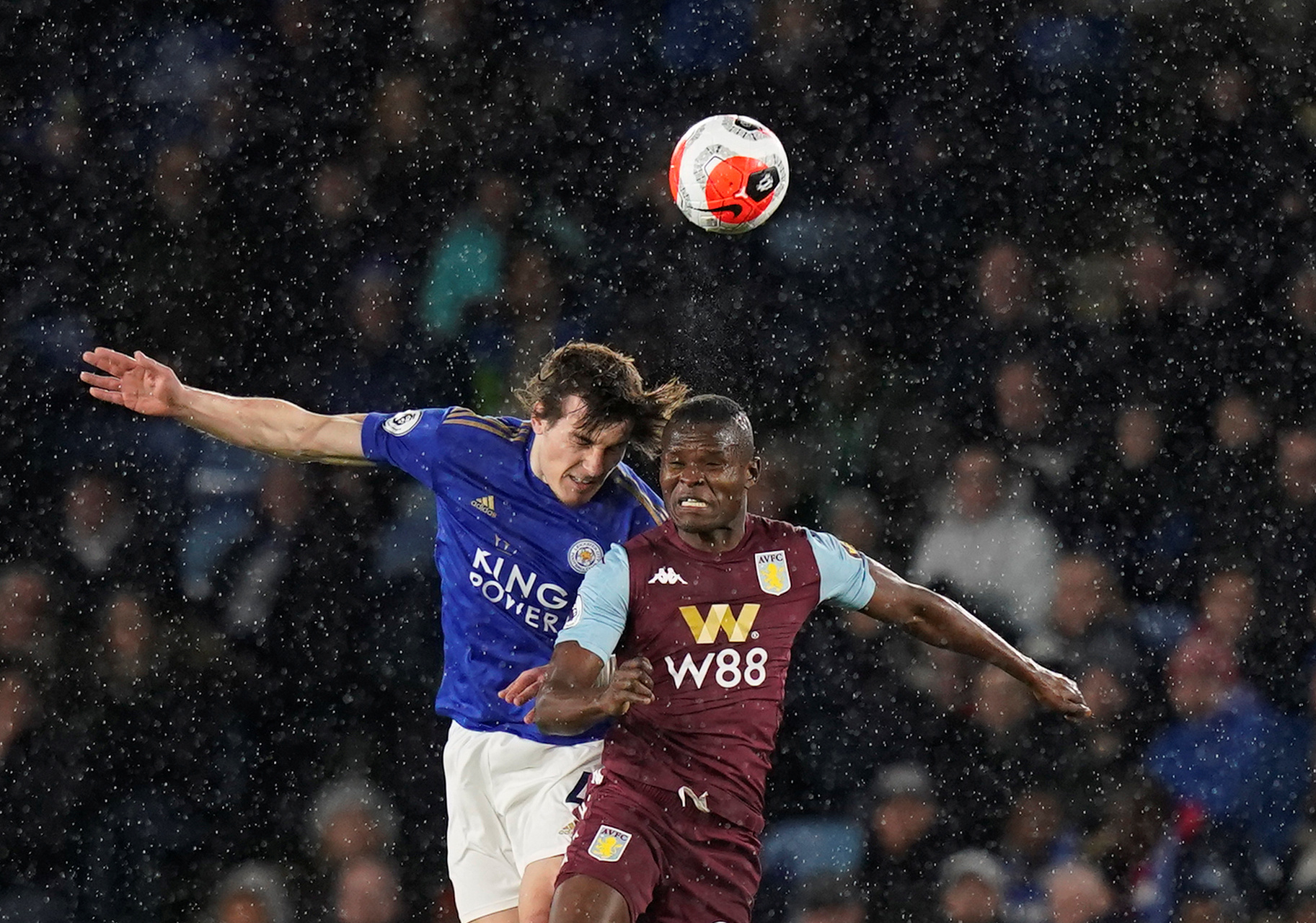 贝尔戈米指 贝尔戈米指