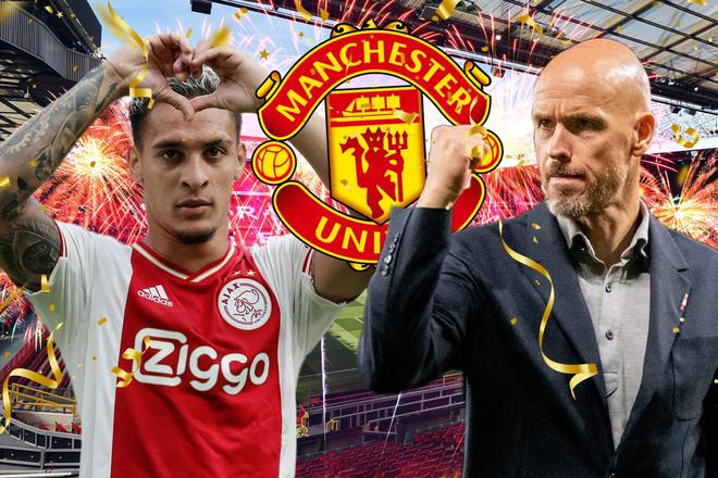 感情和对意 感情和对意